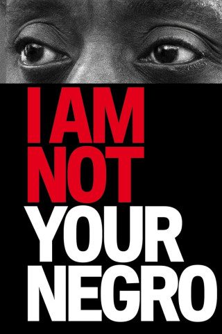 I Am Not Your Negro (2017)