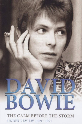 David Bowie: The Man Who Stole the World (2016)