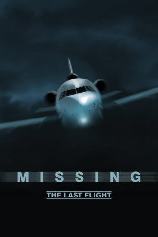 Missing - The Last Flight (2013)
