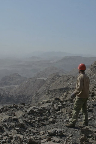 Naturales historiae (2019)