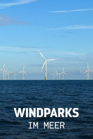 Windparks im Meer - Chance oder Risiko für die Natur? (2024)