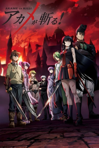 Akame ga Kill - Schwerter der Assassinen (2014)