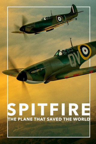 Die Spitfire – Königin der Lüfte (2018)