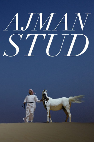 Ajman Stud (2022)