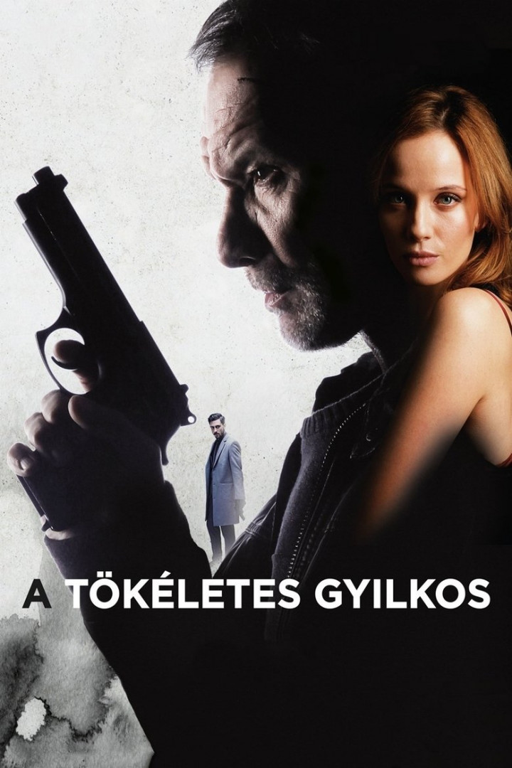 Die perfekte Mörderin (2017)