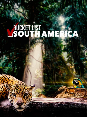 Bucket List: South America (2020)