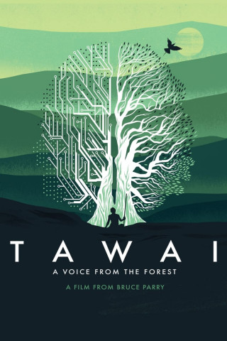TAWAI - A Voice from the Forest (2017)