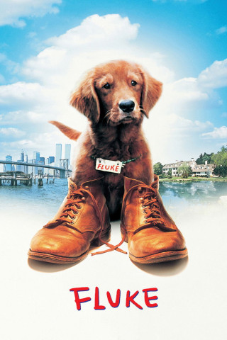 Fluke - Ein Hund räumt auf (1995)