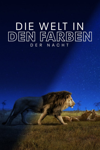 Die Welt in den Farben der Nacht (2020)