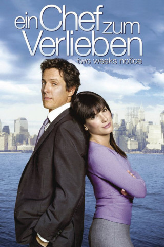 Ein Chef zum Verlieben (2002)