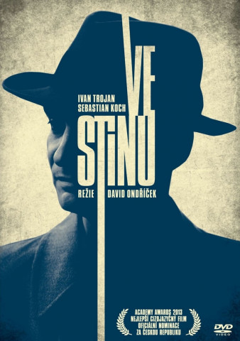 In the Shadow (2012)