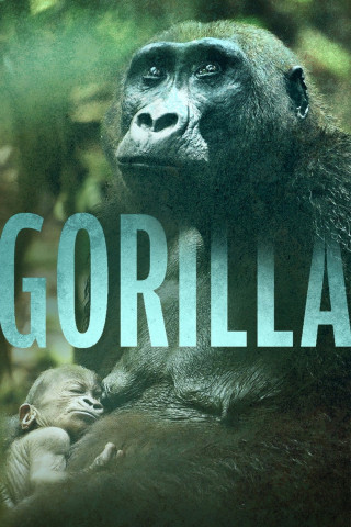 Gorilla (2024)