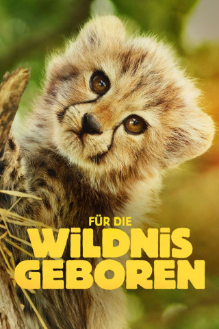 Für die Wildnis geboren (2025)