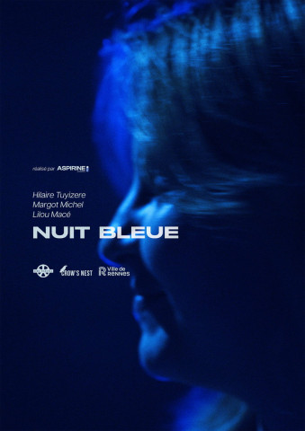 Nuit bleue (2010)