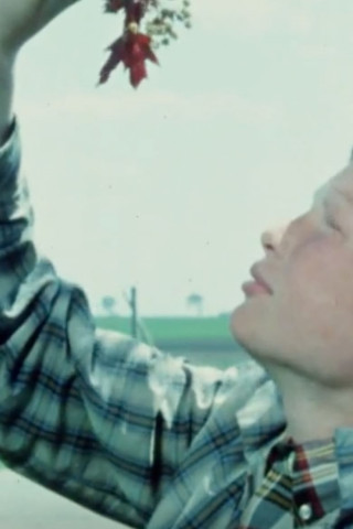 Farm Family In Spring (1967)
