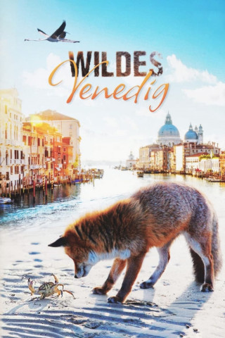 Wildes Venedig (2014)