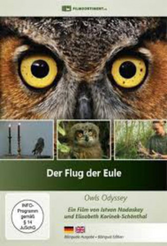 Der Flug der Eule (2013)
