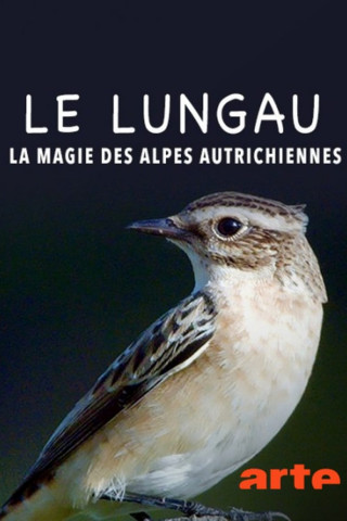 Lungau – Wildnis im Herzen der Tauern (2017)