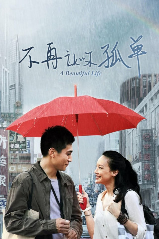 A Beautiful Life (2011)