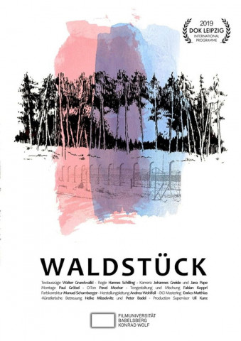 Waldstück (2019)