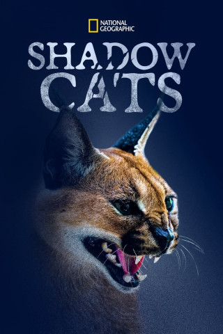 Im Schatten der Großkatzen (2022)