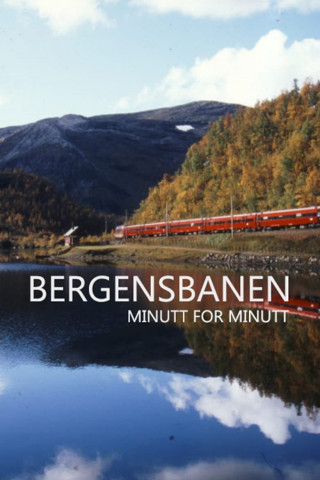 Auf Tour von Oslo nach Bergen:  Bergensbanen (2009)