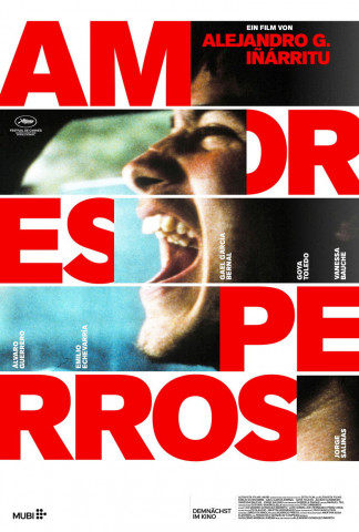 Amores perros - Von Hunden und Menschen (2000)