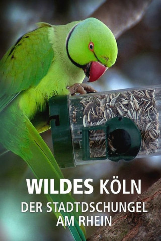 Wildes Köln: Der Stadtdschungel am Rhein (2013)