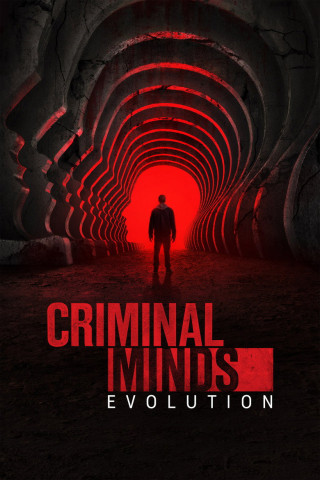 Criminal Minds: Evolution (2005)