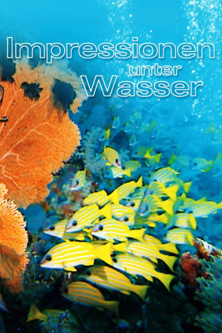 Impressionen unter Wasser (2002)