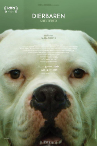 Behütet (2020)