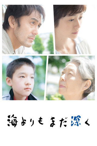 After the Storm (2016)