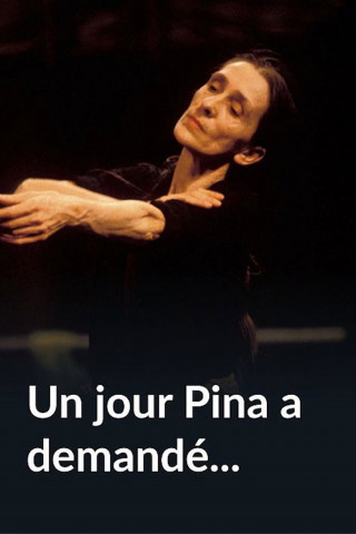 Un jour Pina a demandé... (1989)
