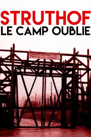 Struthof, le camp oublié (2019)