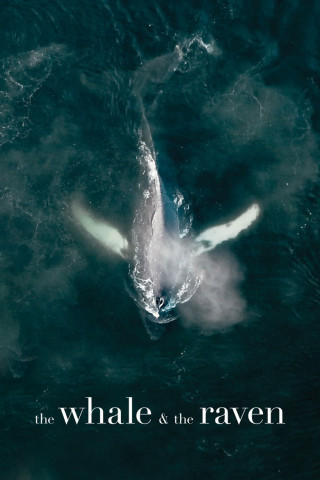 The Whale and the Raven (2019)