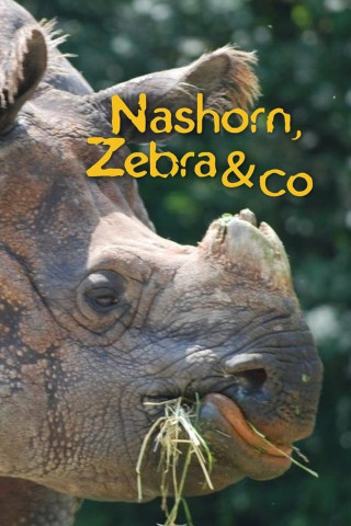 Nashorn, Zebra & Co. (2007)