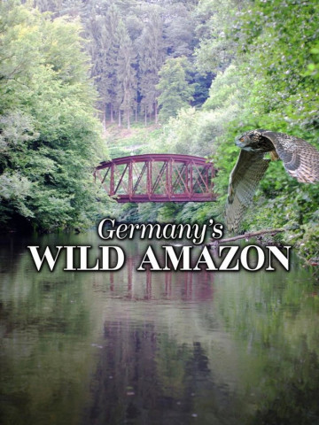 Die Wupper: Amazonas im Bergischen Land (2011)
