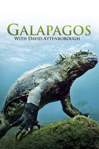 Galapagos 3D (2013)