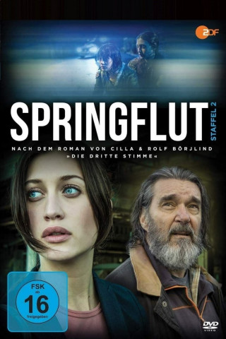 Springflut (2017)