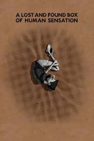 A Lost and Found Box of Human Sensation (2010)