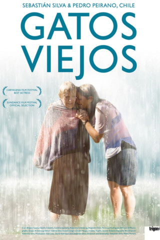 Gatos viejos (2010)