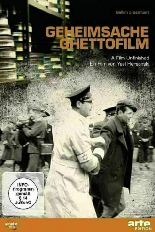 Geheimsache Ghettofilm (2010)