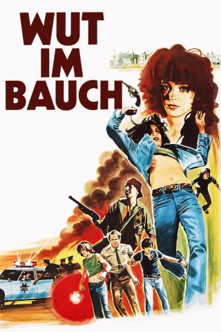 Wut im Bauch (1979)
