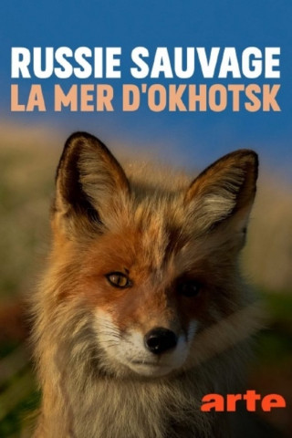 Wildes Herz Afrika (2006)