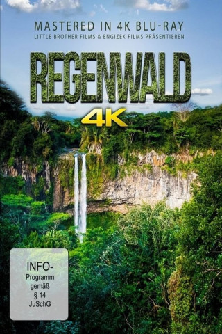 Regenwald (2016)