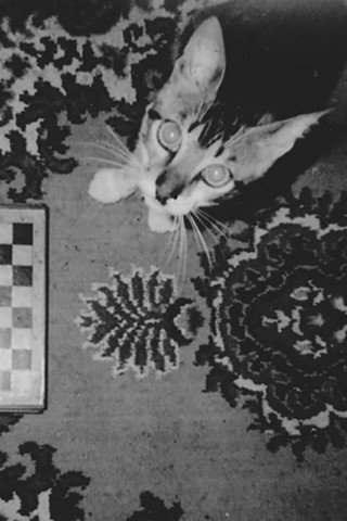 This day won't last (2020)