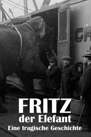 Fritz, der Elefant - eine tragische Geschichte (2024)