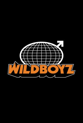 Wildboyz (2003)
