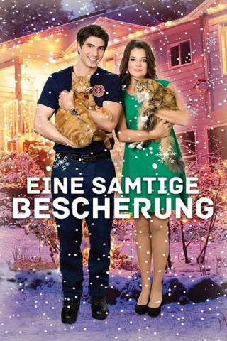 Eine samtige Bescherung (2014)