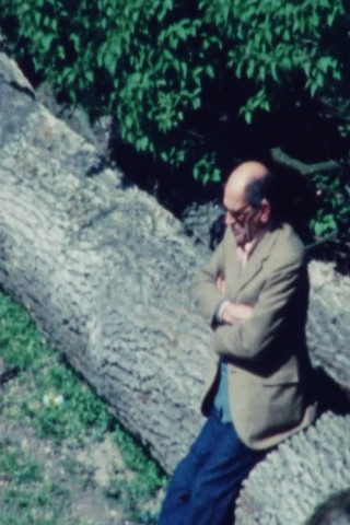 Dieses obskure Objekt der Begierde (1977)